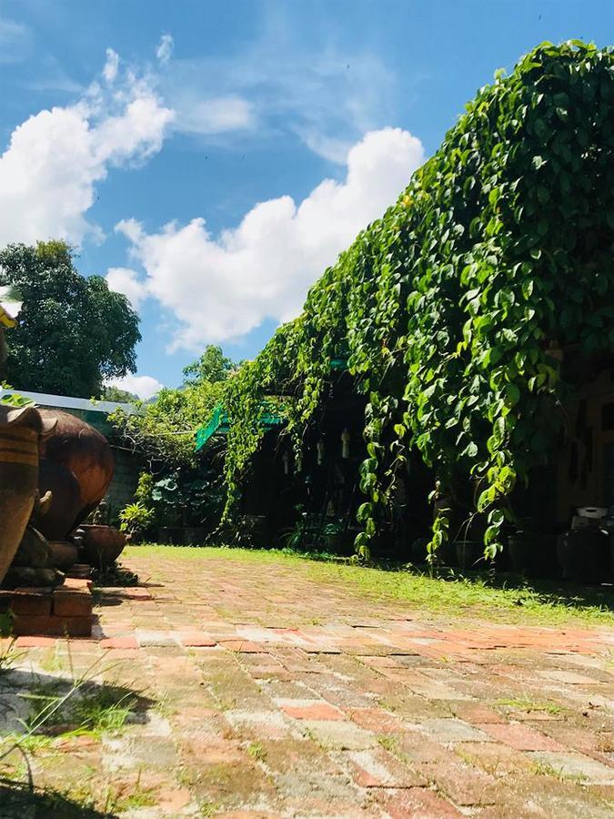 Casa Theresa Resort & Garden رانونغ المظهر الخارجي الصورة